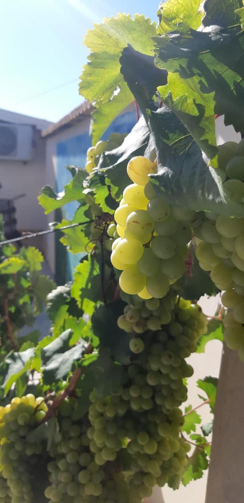 Casa Le Gebbie Villa Marzamemi Buitenkant foto